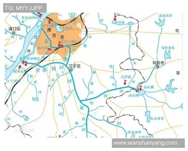 南京网球队实力深度解析与对比分析报告