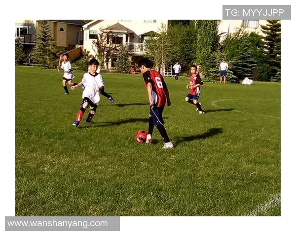 哪个足球明星的孩子最多家庭幸福指数最高揭秘